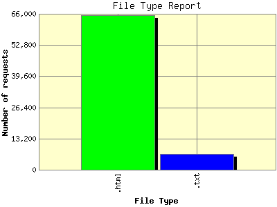 File Type Report: Number of requests by File Type.